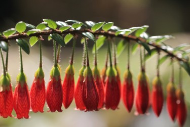 苏州张家港零用贷短借：轻松解决临时资金需求